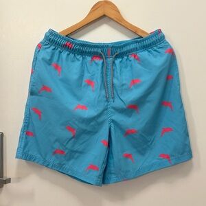 Blue Swim Trunks with Pink Dolphin Print